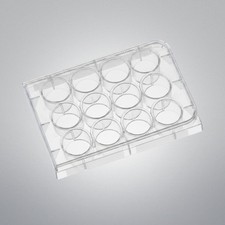Corning 3512 Cell Culture Plate 12 Well Clear Sterile TC-Treated Case of 100