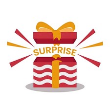 AMAZON Mystery Box General Merchandise Fun Liquidations Bundles US Free Shipping