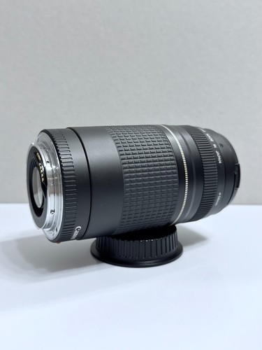 Canon EF 75-300 mm F/4-5.6 II USM Teleobjektiv für Canon EOS APS-C & Vollformat - Bild 5 von 7
