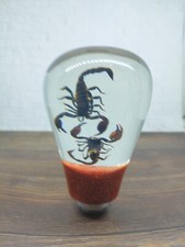 Underwater Real Fighting Scorpio Scorpion Gear Shift Knob Acrylic Resinn24