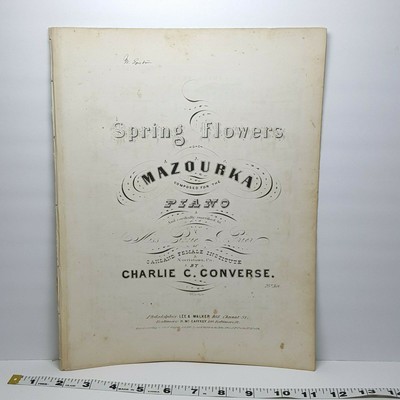 spring flowers converse