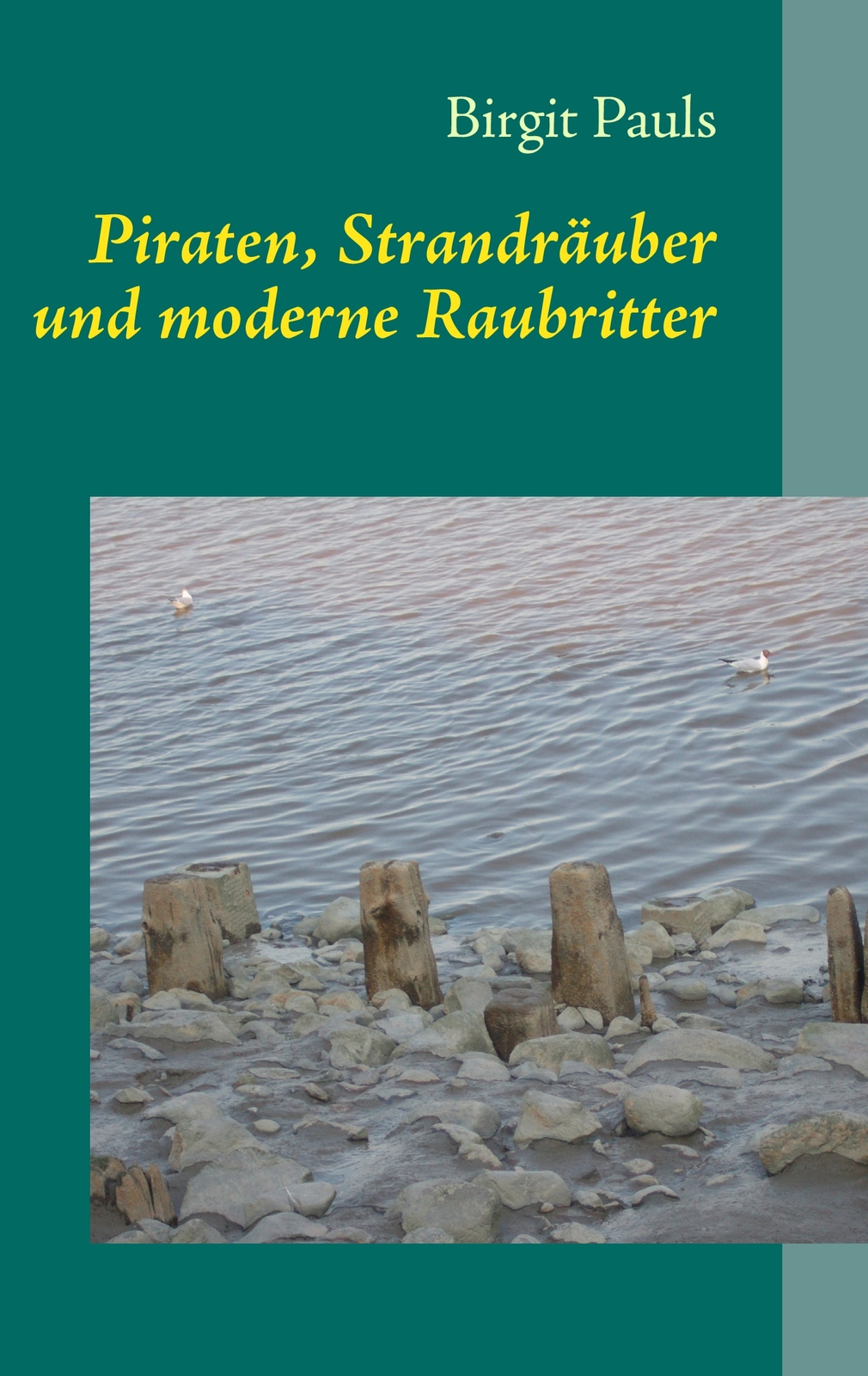 Piraten, Strandräuber Und Moderne Raubritter (buch)