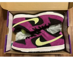 Nike SB Dunk Low Pro ACG Terra Red Plum - BQ6817-501 - Size 12 | eBay