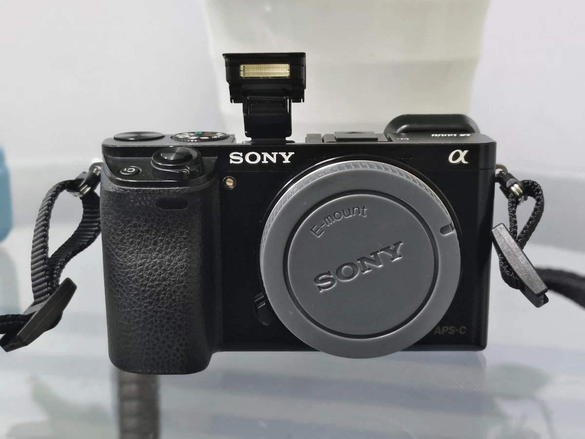 Sony Alpha A6000 Digital Cameras for Sale - Shop New & Used