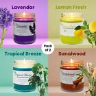 Fpn Smoke Scented Odor Eliminating Candles 12 Oz 100% Soy Wax Candle Pack of 2