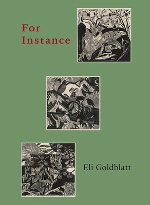 Eli Goldblatt Michael Moore Wendy Osterweil For Instance (Paperback)
