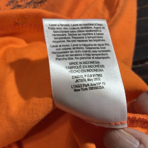 Body Carhartt Manga Larga Cazador de Ciervos Naranja Talla 9 Meses Manga Larga - Imagen 9 de 9