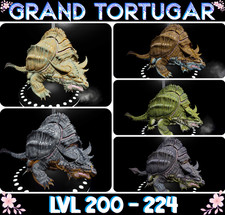 Grand Tortugar [53HP/58ST/52MD] ARK🌸Survival Ascended ASA PVE