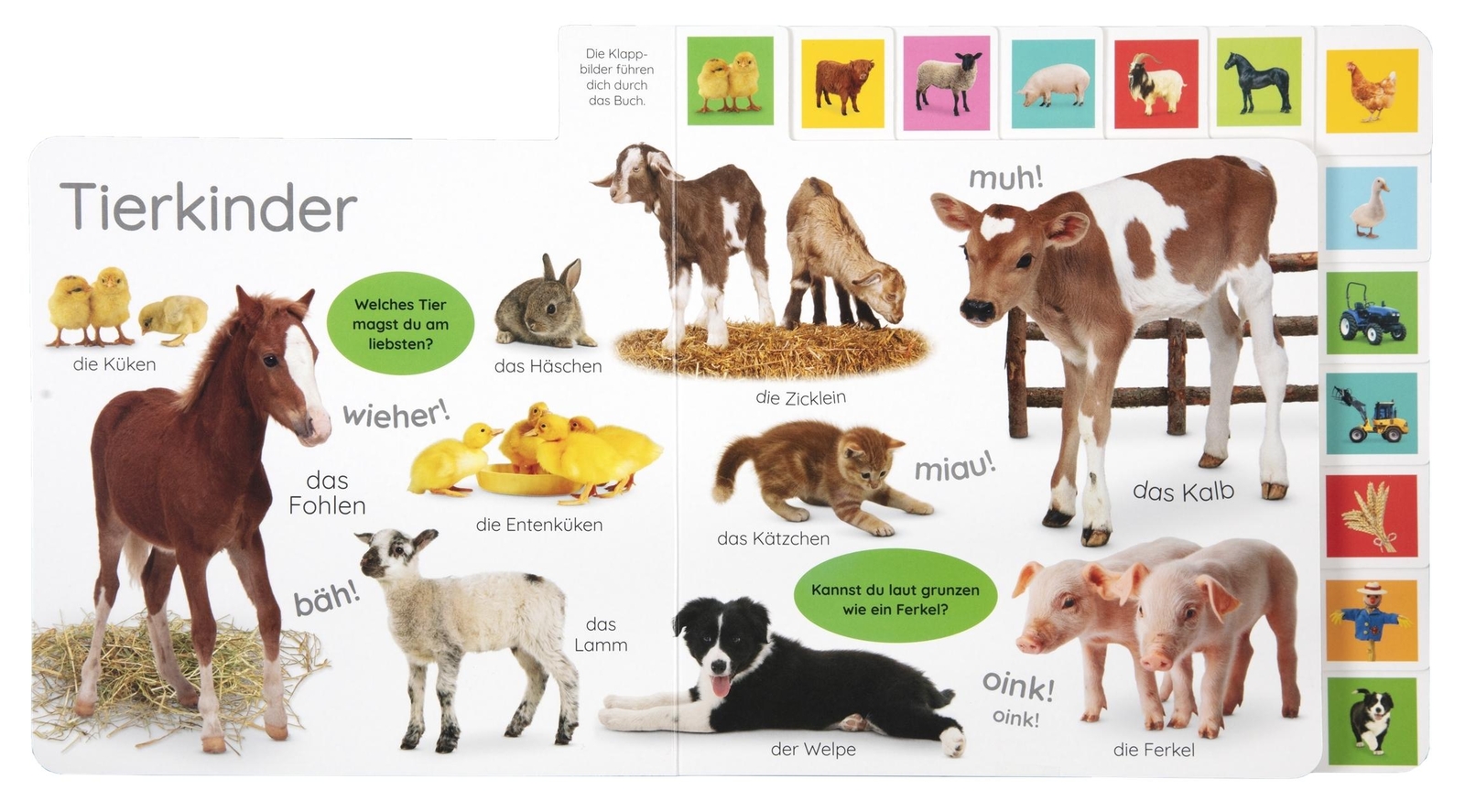 Thumbnail - Erstes Lernen. Bauernhof - Dk Verlag - 9783831044139