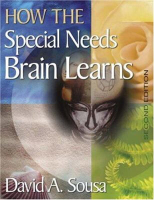 How The Special Bedarf Gehirn Learns Perfekt