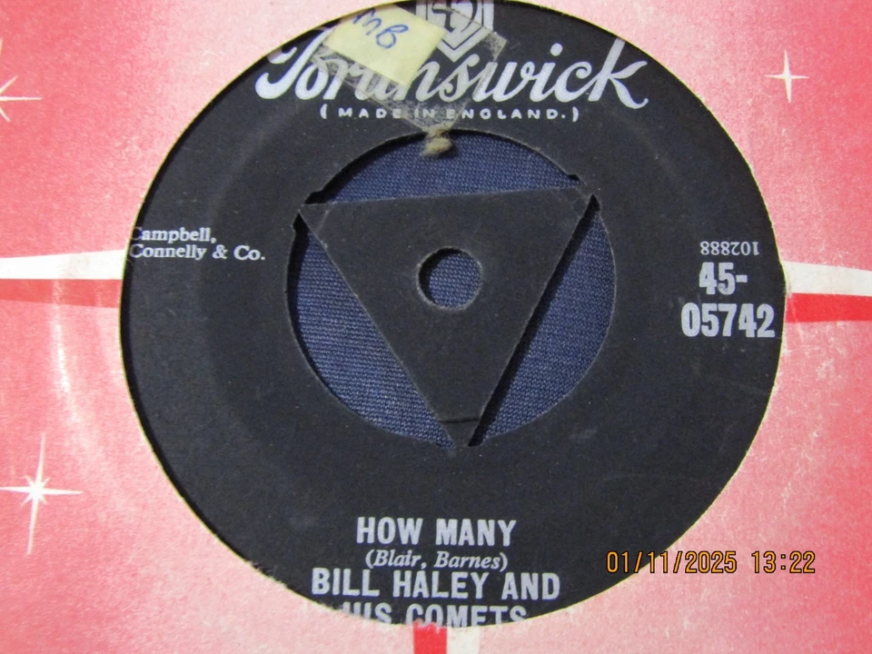 BILL HALEY & HIS COMETS-SKINNY MINNIE-BRUNSWICK TRI - Image 2 of 2