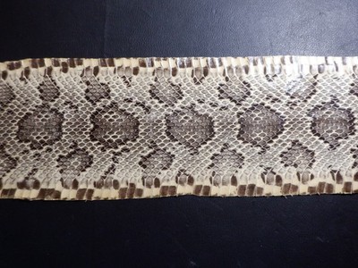 Vintage Anaconda ? or Flower Snake?  skin, 5 1/2'' x 74''