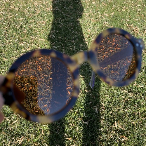 Ben Silver Sunglasses - Picture 9 of 11