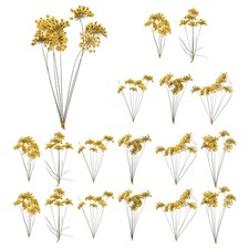 18 Pcs Lace Natural Real Pressed Dried Flower for Art Craft DIY, Yellow