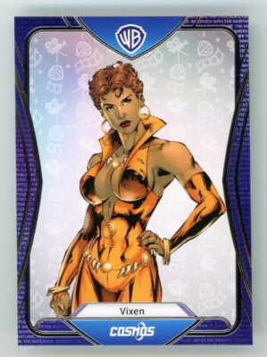 VIXEN 2024 Kakawow Cosmos Warner Bros. 100th All Star #CWQ-I-65 Silver