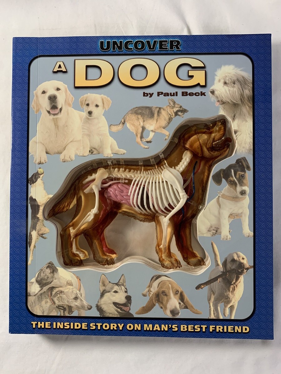 UNCOVER A DOG - Paul Beck 2007 | eBay