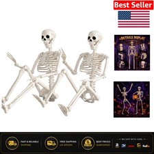 Realistic 36" Halloween Skeletons with Adjustable Joints - Perfect for Parties