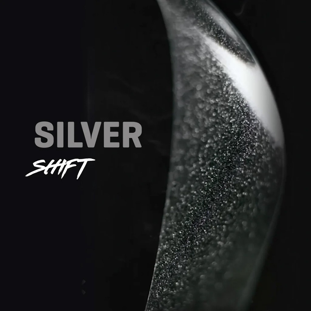 Набор для хранения вилок Silver Gloss - Универсальная высококачественная вилка американского производства