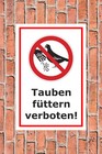 Bild 3 von 5