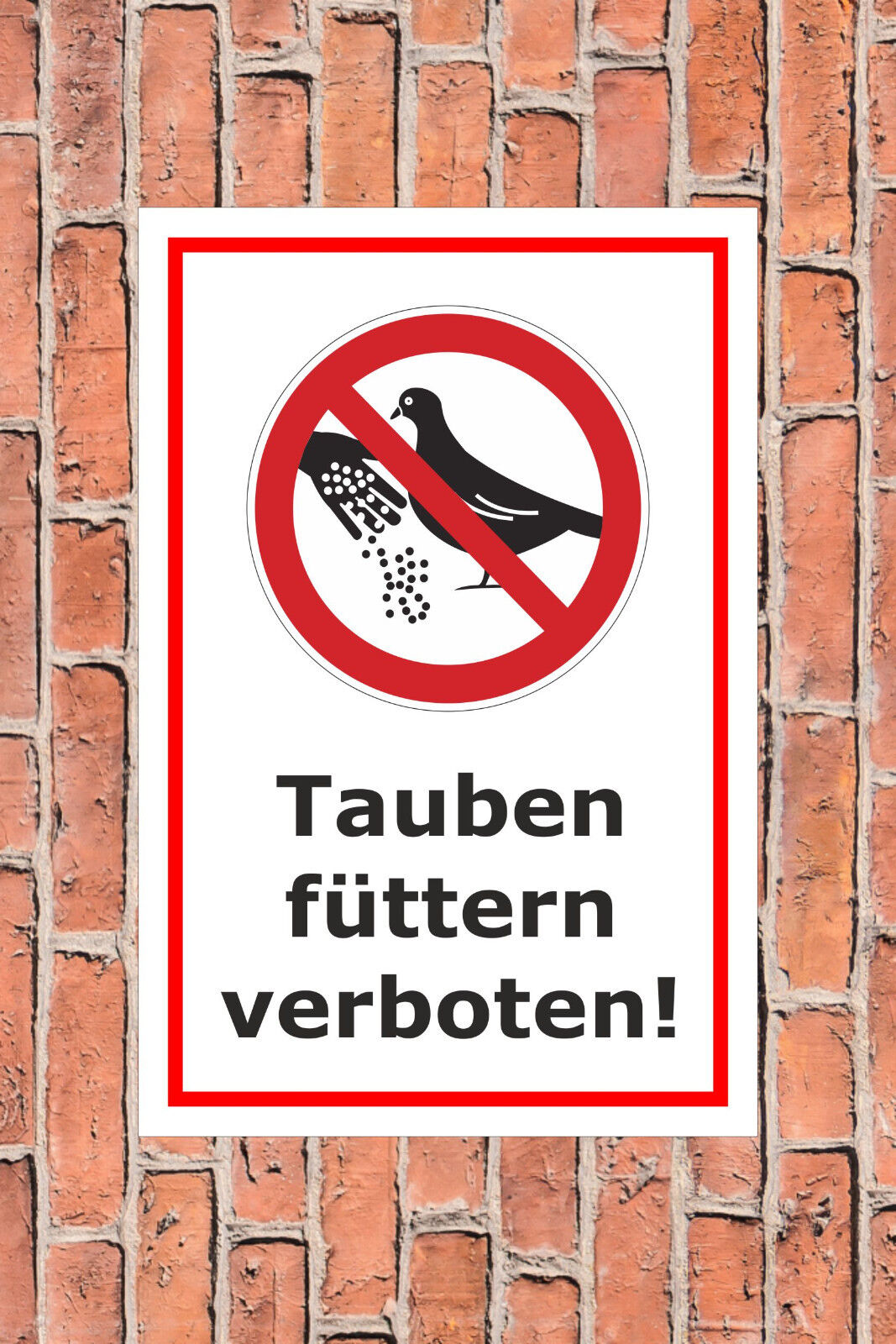 Bild 3 von 5