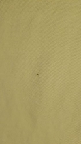 Tommy Bahama Stand Up Paddle Board Yellow RelaxTshirt Mens Large - Picture 3 of 4
