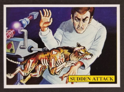 Sudden Attack 1990 Shroud of the Undead Rosem Card # (NM)