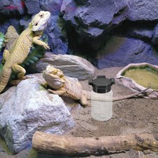 Spider Ant Water Feeder Reptile Feeding Dish Lizard Bowl Insect Drinking Tray