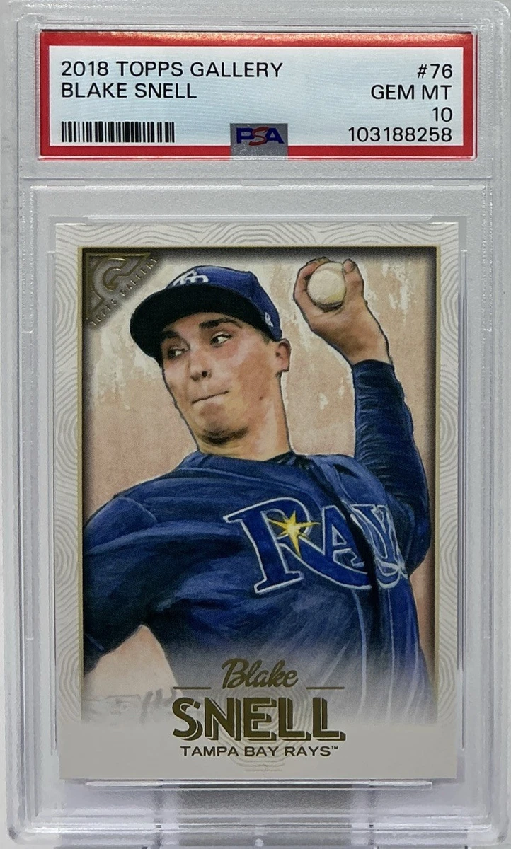 Topps Blake Snell Baseball 2018 Season Sports Trading Cards