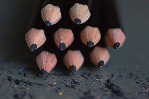 Ticonderoga Pencils, Wood-Cased, Graphite #2 HB Soft, Black, 24-Pack (13926)