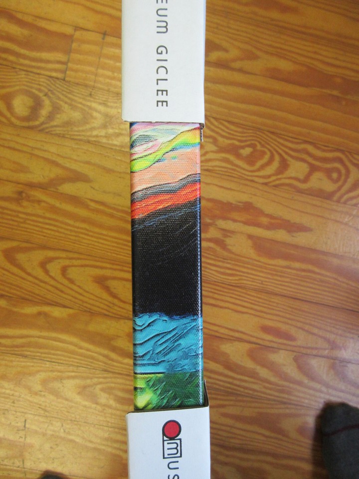 rescue-street-stray-dogs-cats-van-gogh-starry-night-stretched-canvas