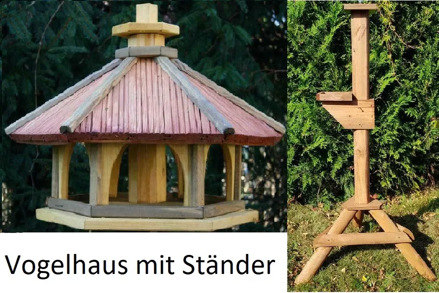 Bild 17 von 31
