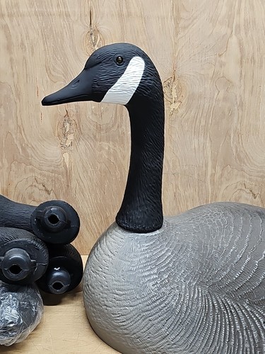 Canada Goose G&H Muschelköder 12 Stück Muscheln abnehmbare Kopfposen 3 neu nie benutzt - Bild 9 von 12