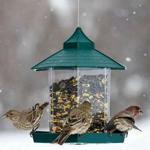 Hanging Bird Feeder Seeds Peanut Food Container Outdoor Feeding