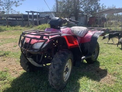 gumtree quads
