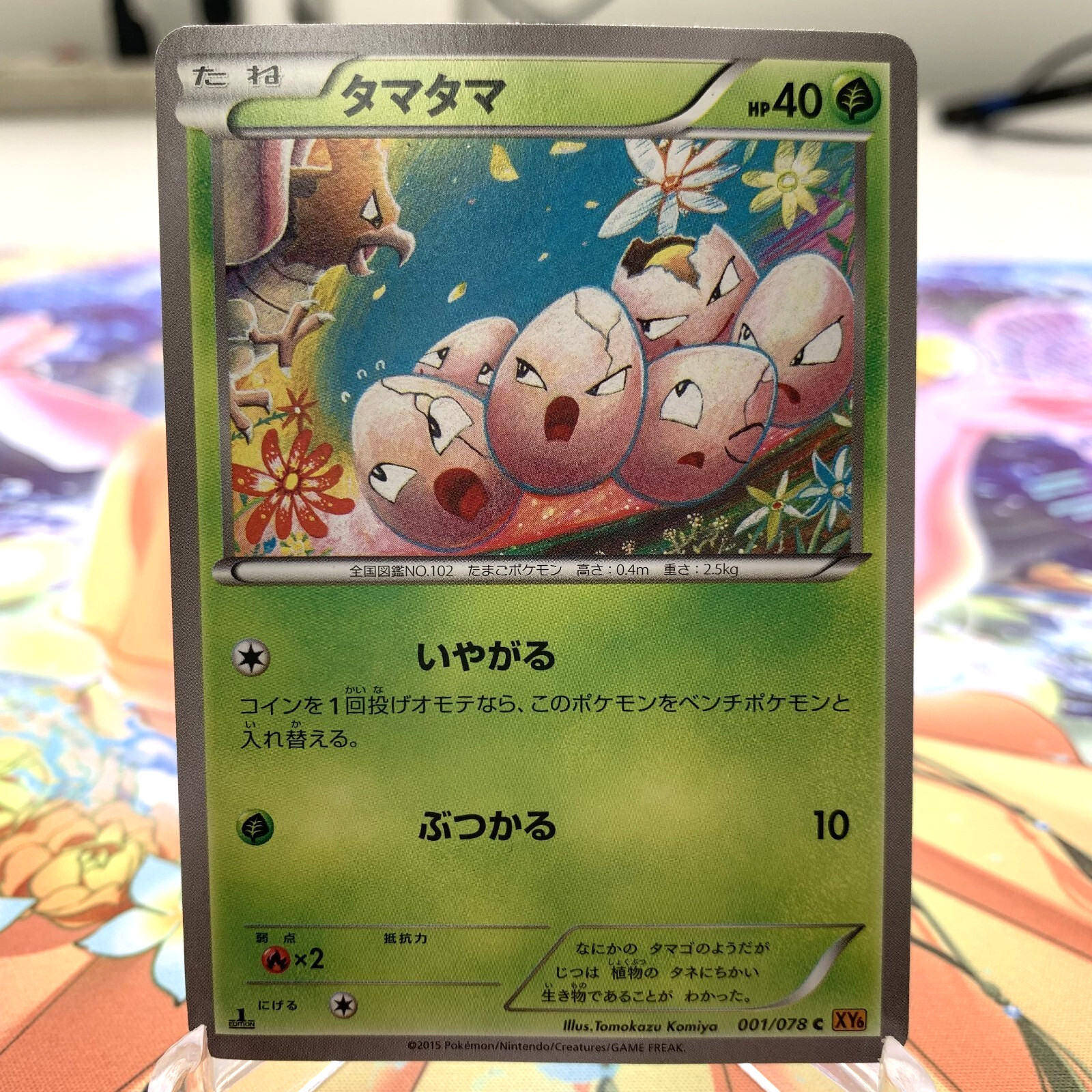 Exeggcute 001/078 1st Edition XY6 Japanese Pokemon Card ~ MP
