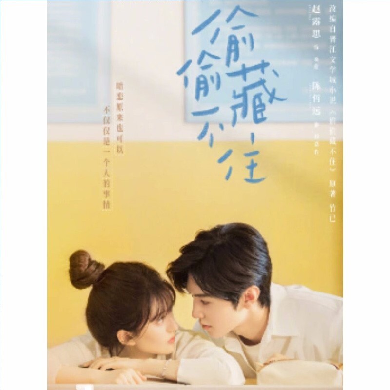 私たち恋しませんか DVD Chinese Drama TV Movie hidden love DVD Chinese Sub HD 偷偷藏