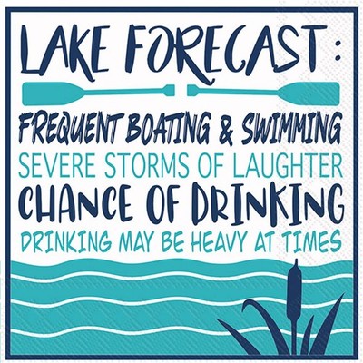 IHR Ideal Home Range 3-Ply Cocktail Napkins, 5''x5'', Lake Forecast, 20-Count Pack