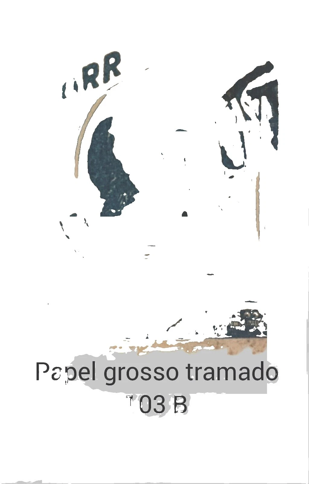 Gatos Sellos brasileño usado