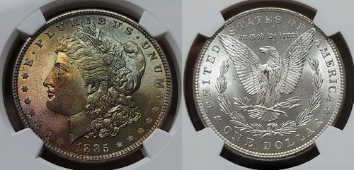 1885 P Morgan Silver Dollar $1 NGC MS 65 Great Toning!