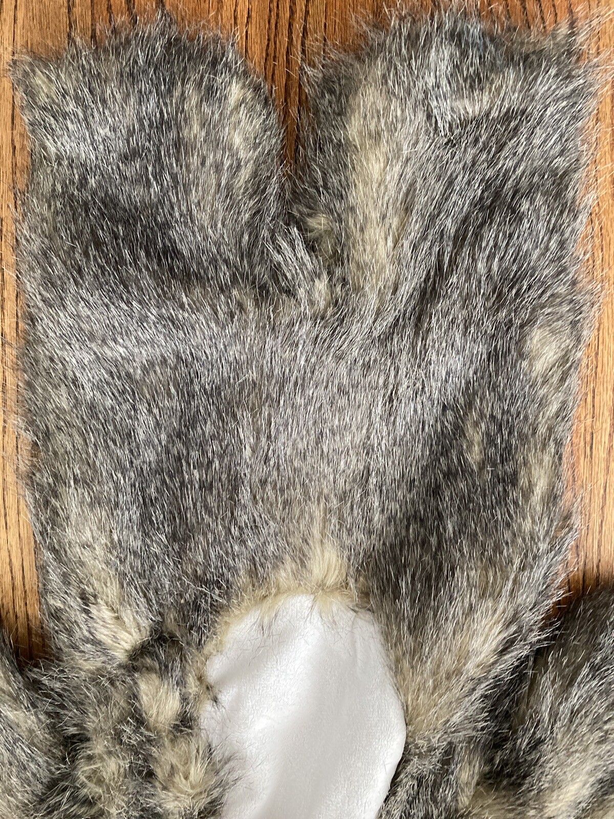 Pottery Barn Kids Woodland Baby Hedgehog Halloween Co… Gem