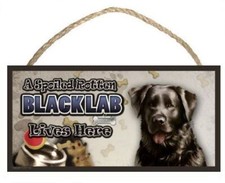 A Spoiled Black Lab Lives Here Dog Sign / Plaque featuring the art of Scott Roge