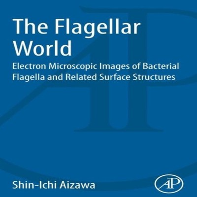 The Flagellar World Electron Microscopic Images of Bacterial Flag