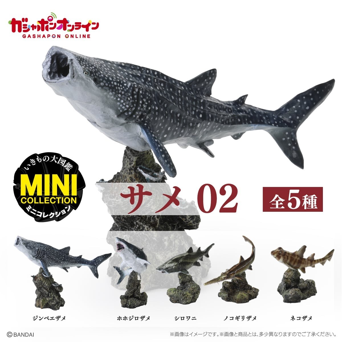 セール中　SHARK 豪華版　初回限定生産　5枚組　レア Amazon.co.jp: SHARK DVD-BOX(初回限定生産豪華版) : 平野紫耀