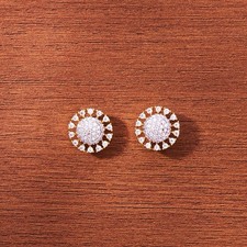 Indian /Pakistani Gold Plated Premium Quality Earrings