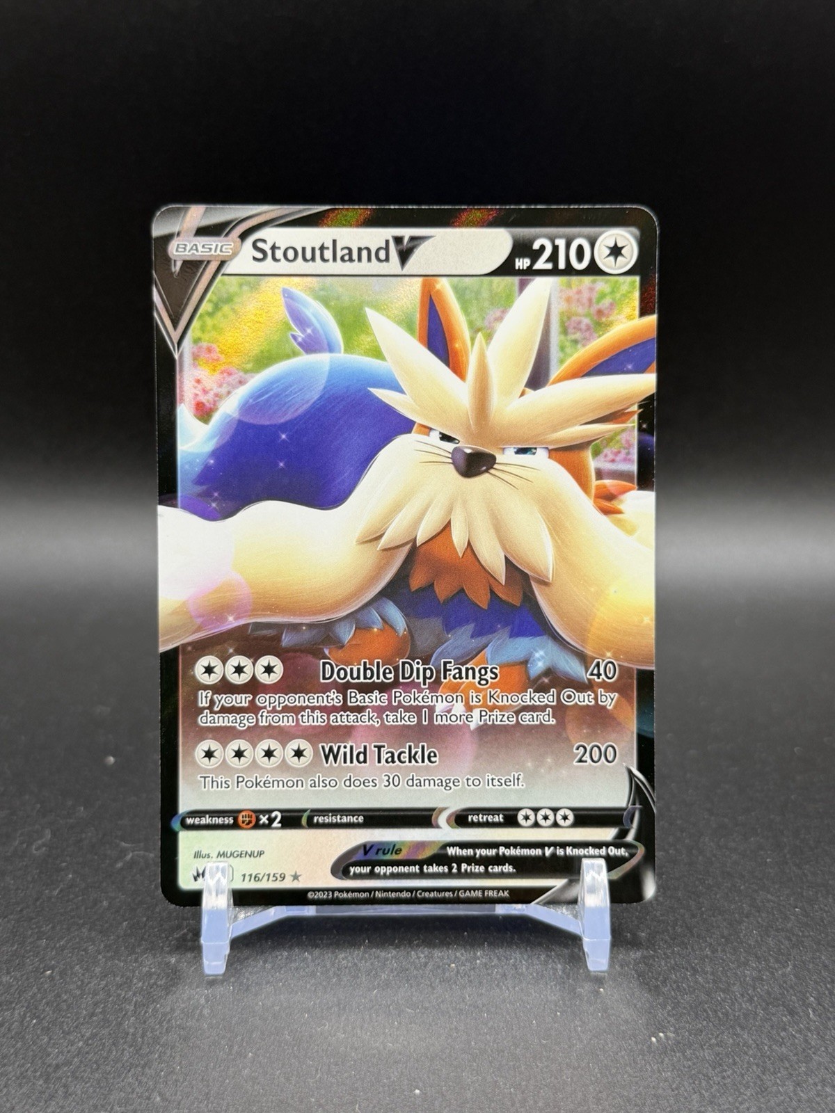 Stoutland V 116/159 Ultra Rare Crown Zenith Pokemon TCG