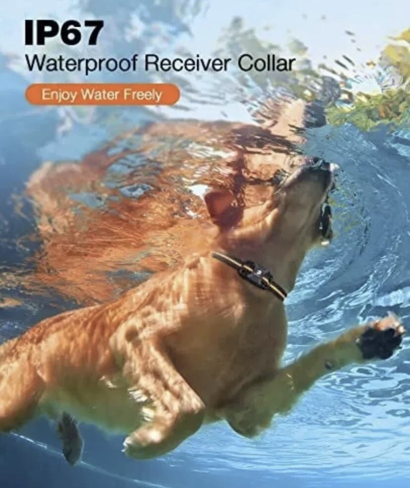 NEW DOG TRAINING COLLAR Shock for Small Medium Large Dogs with Remote