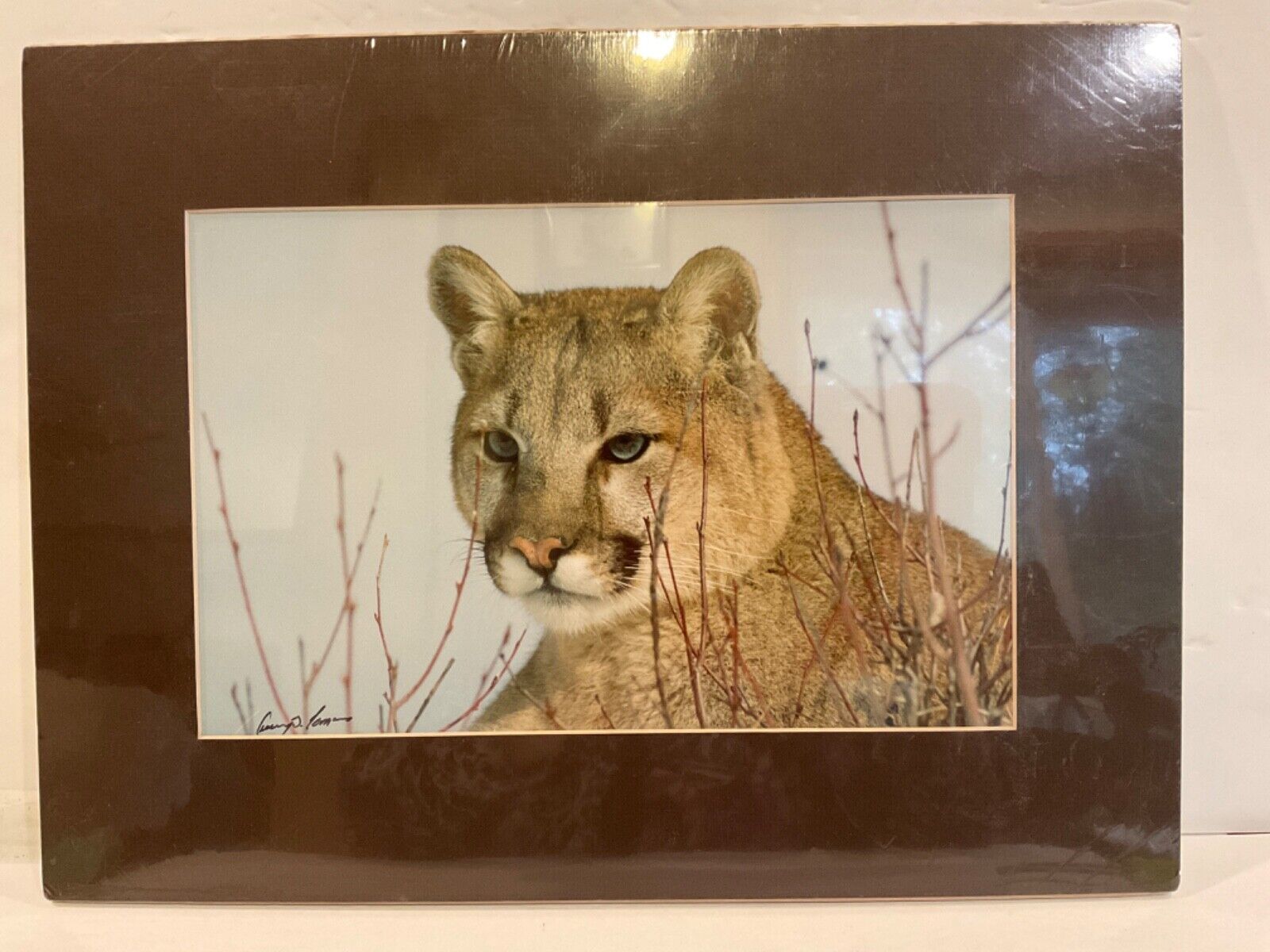 Picture 1 of 4