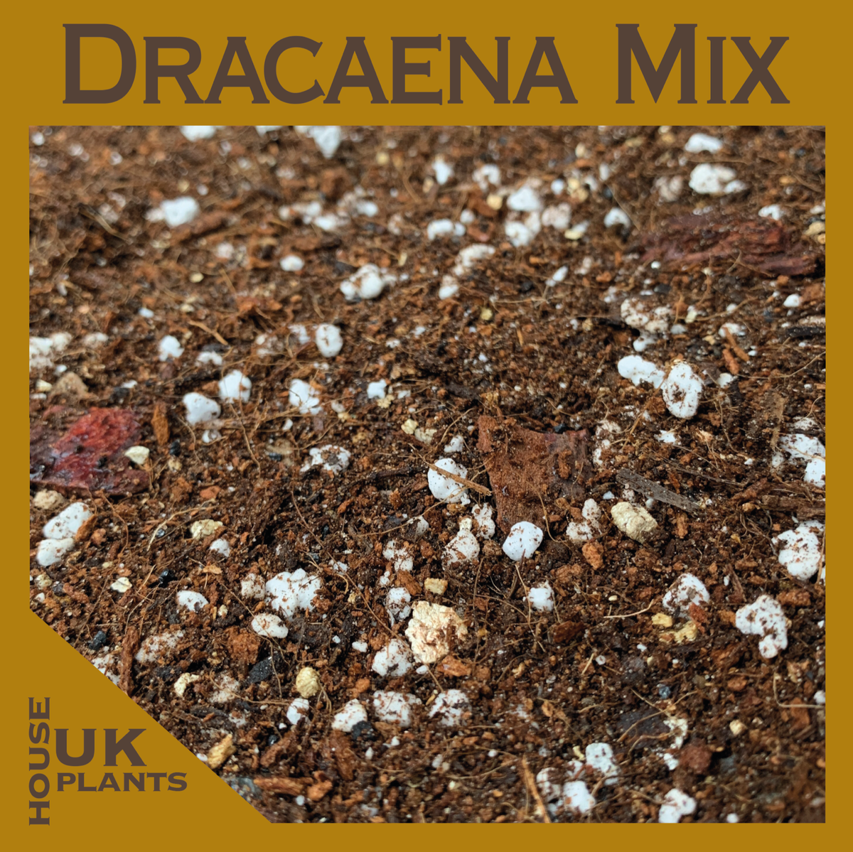 DRACAENA Soil Mix (Pest Free Repotting Compost (Dragon Tree, Marginata,  fragrans | eBay UK