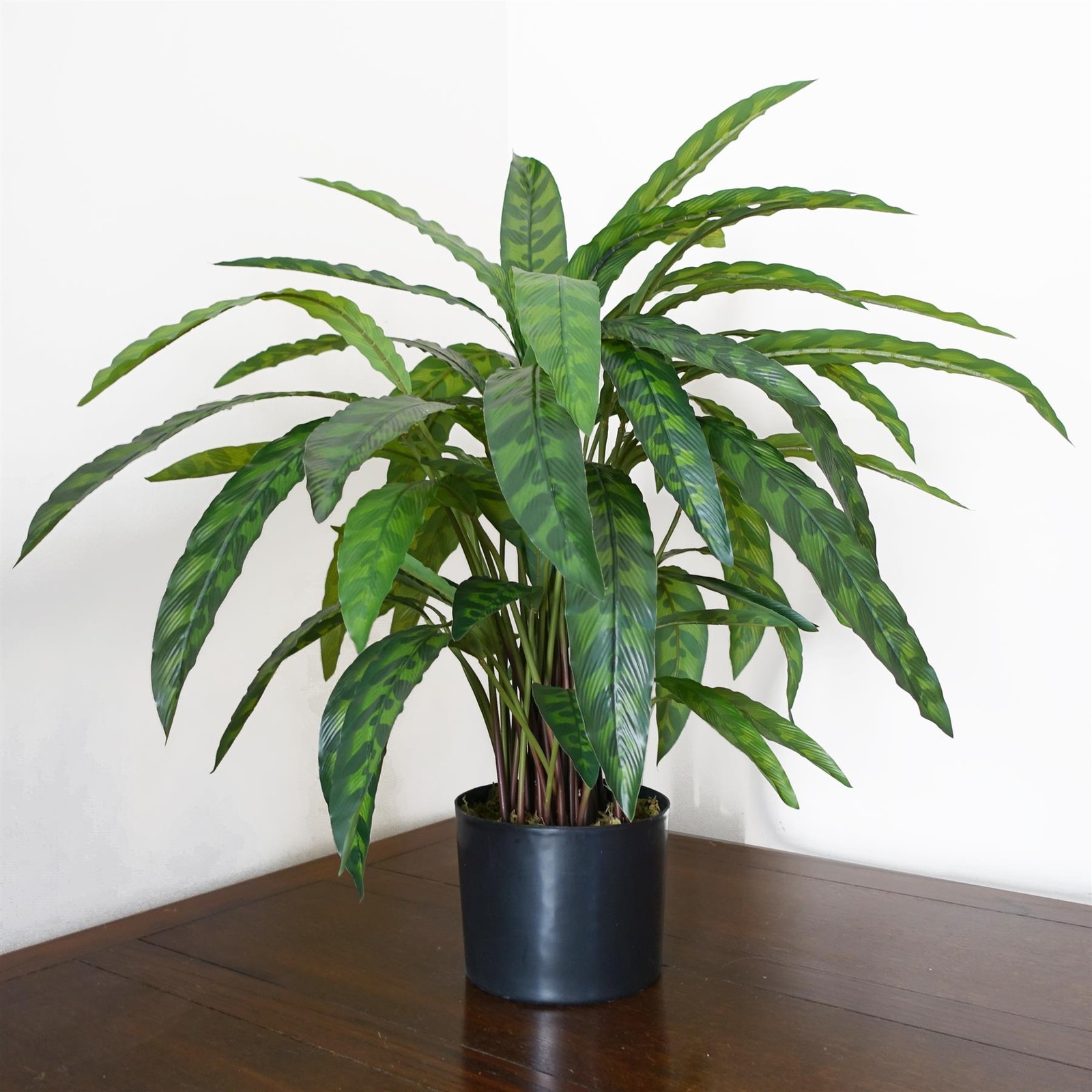 Variegated Artificial 60cm Calathea Plant Practical Everyday Home Use - Image 3