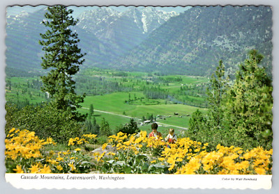 Cascade Mountains Leavenworth Washington Scenic View Postcard